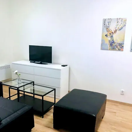 Apartment Rezidence Pod Zamkem - 205 B
