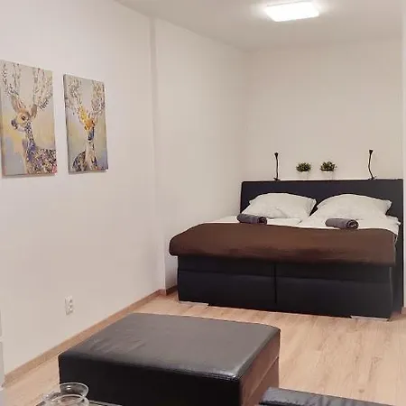 Rezidence Pod Zamkem - 205 B Apartment Mikulov